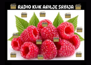 Radio Klik Arilje