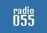 055 Radio Bijeljina